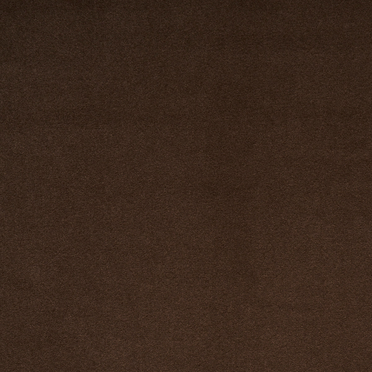 HERMINE VIRGIN WOOL | Chocolate