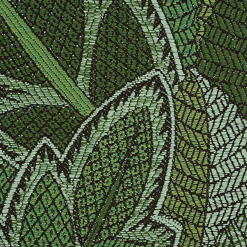 FORESTA DI JAPURA | VERDE