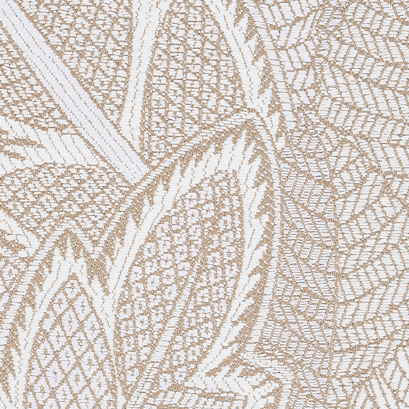 FORESTA DI JAPURA | AVORIO