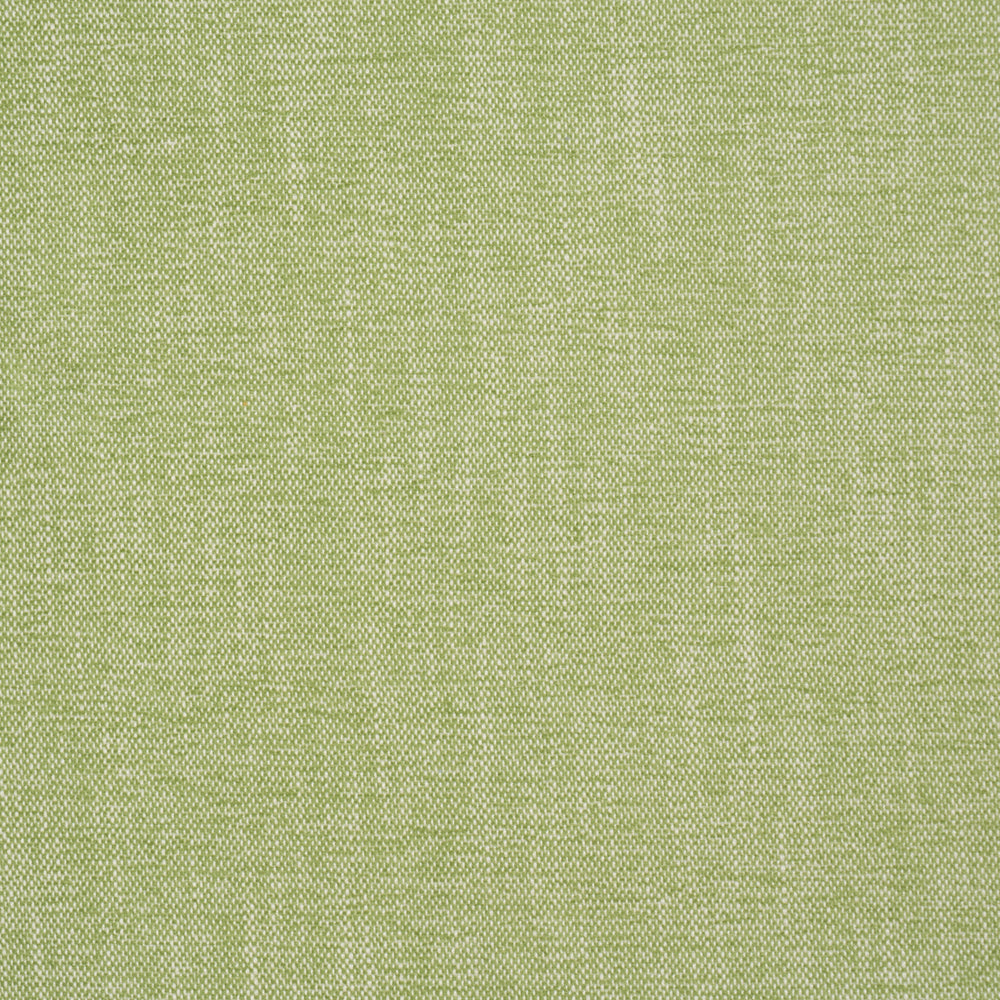 DEAN INDOOR/OUTDOOR | Grass