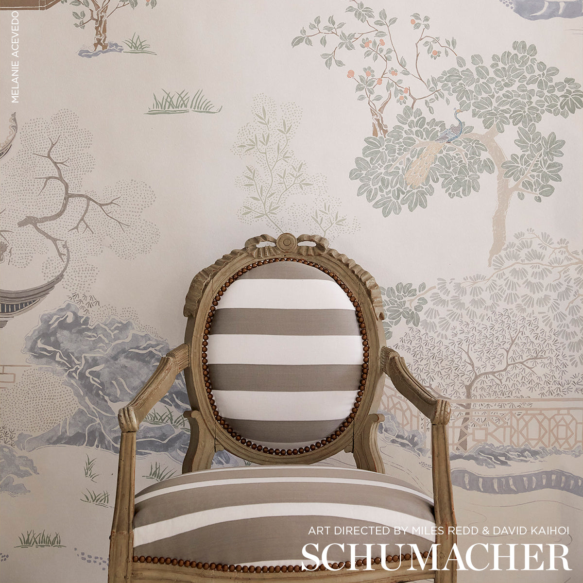 RIBBON APPLIQUÉ PANEL | Grey On Ivory