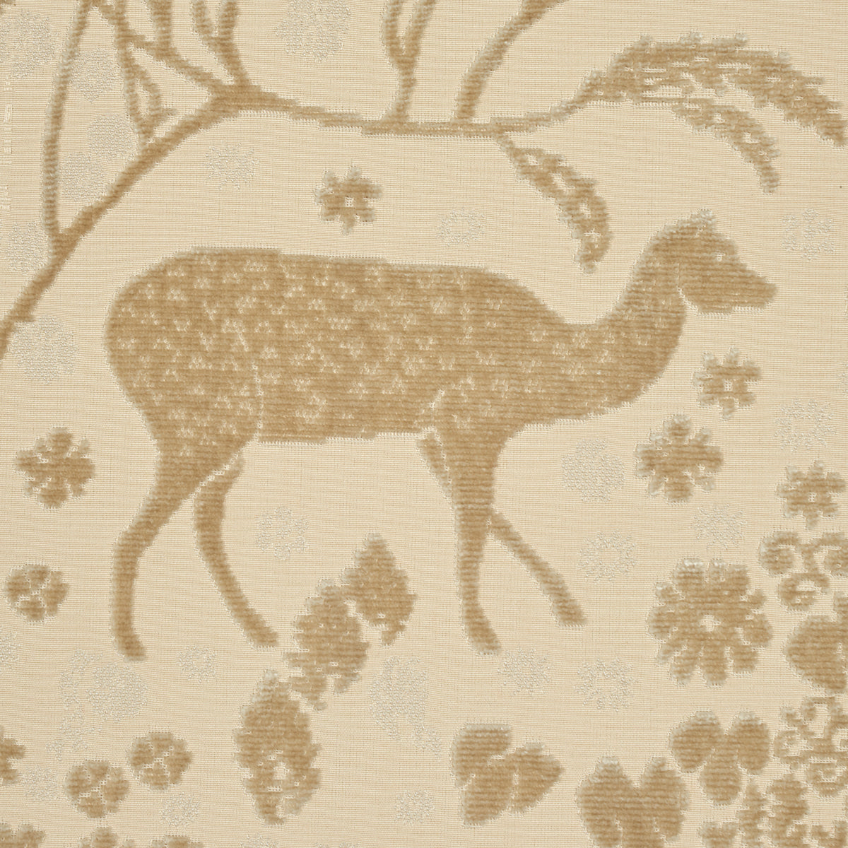 ARBOR FOREST | Champagne
