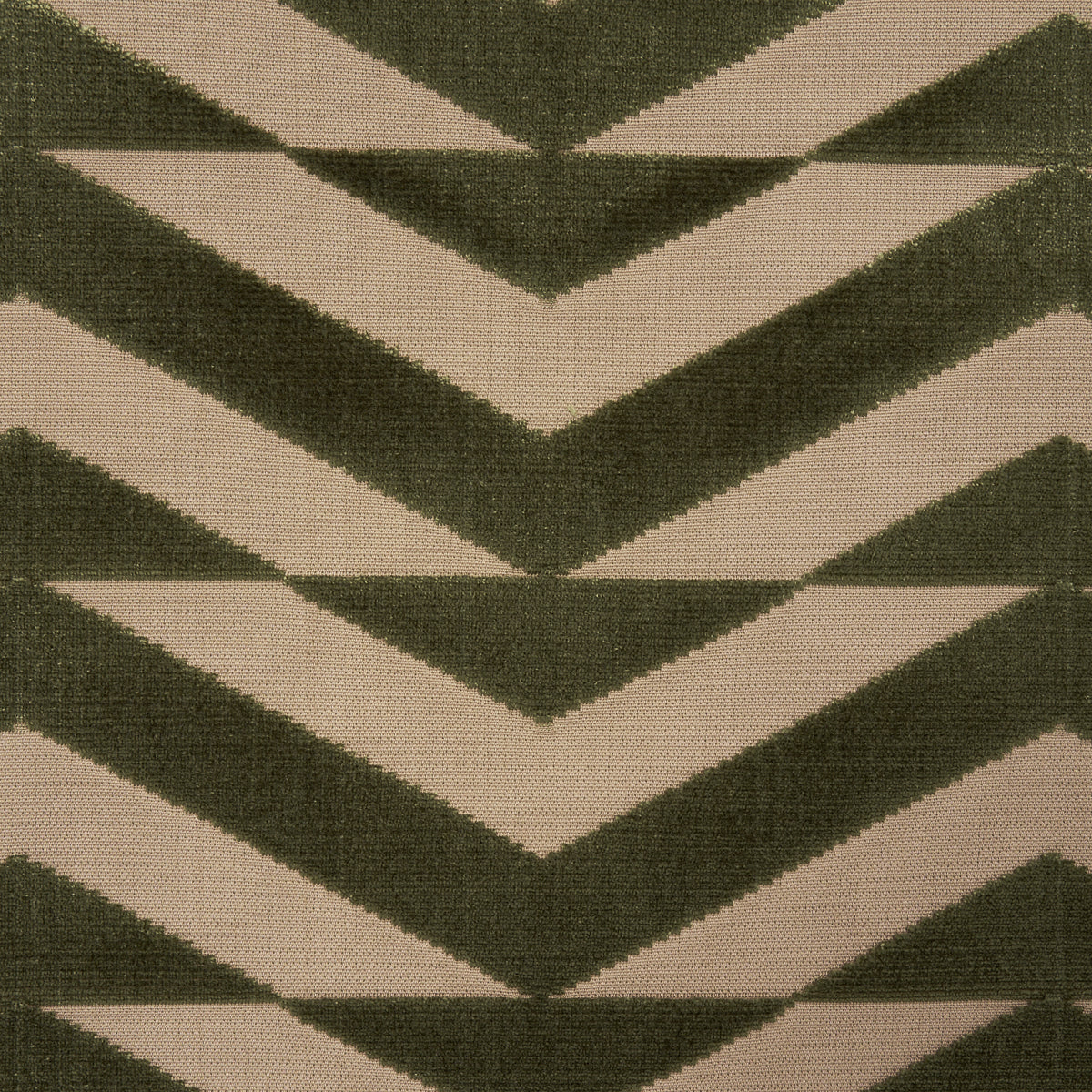 VELLUTO TAGLIO CHEVRON ROTTO | OLIVA SU CACHI