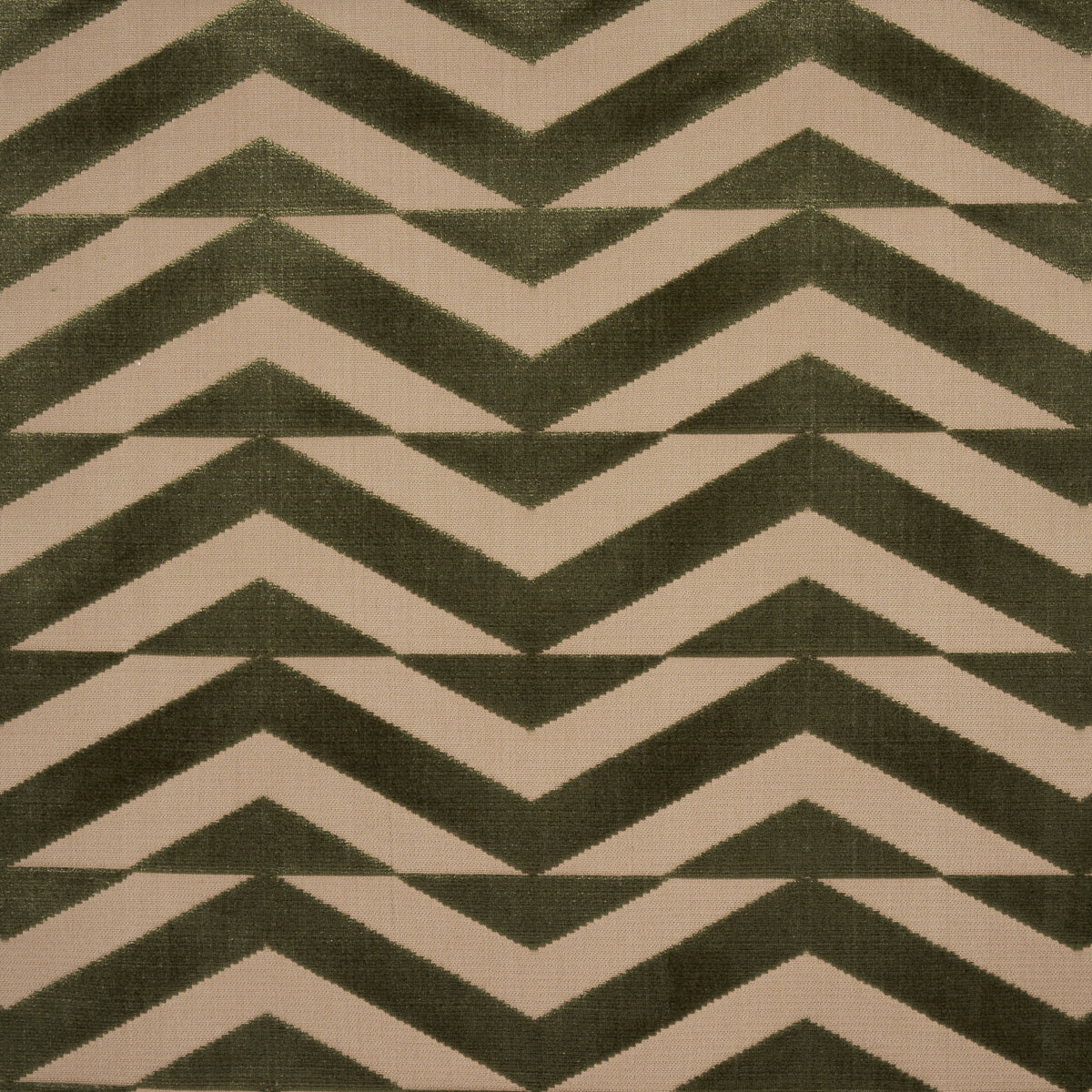 VELLUTO TAGLIO CHEVRON ROTTO | OLIVA SU CACHI