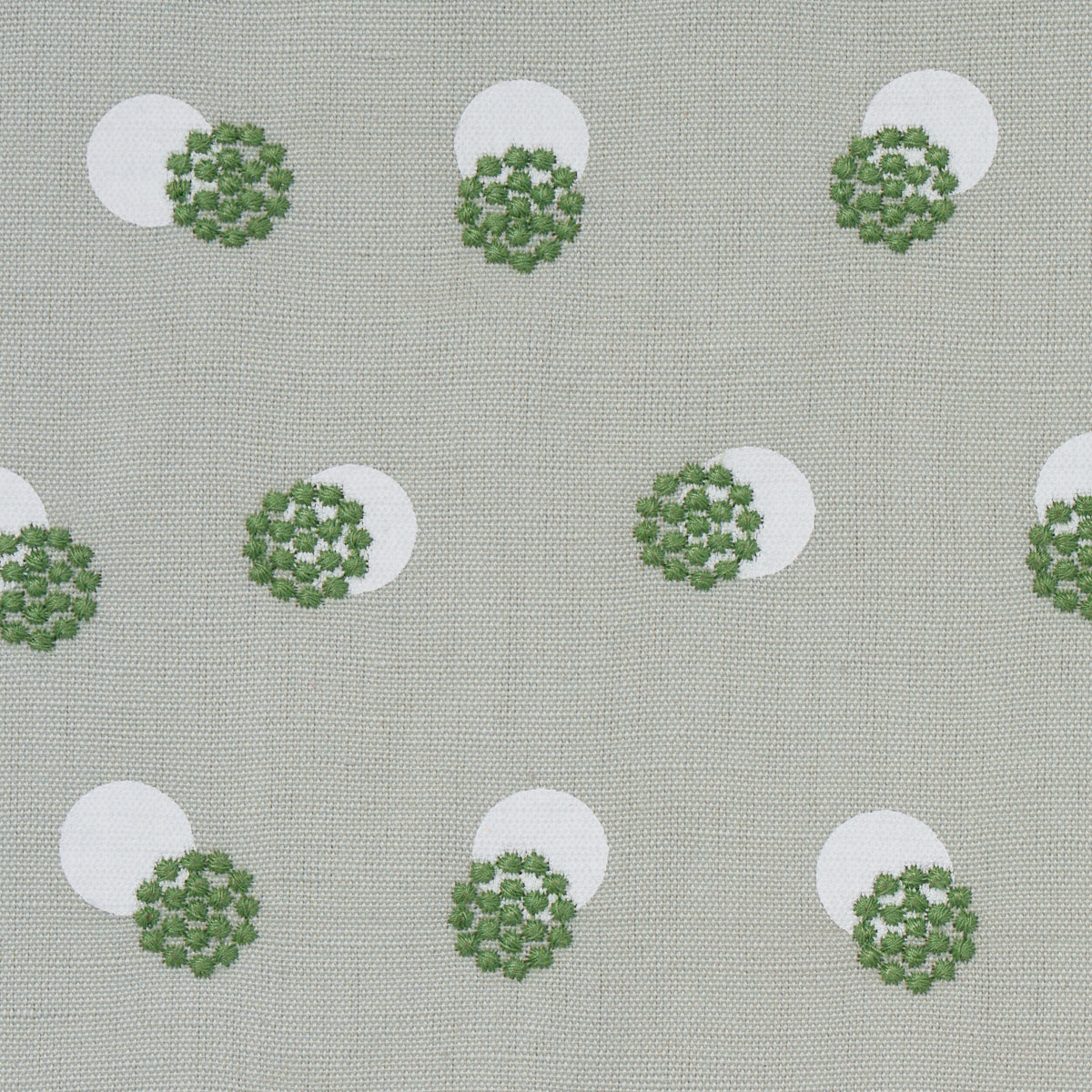 RICAMO TAYLOR | VERDE