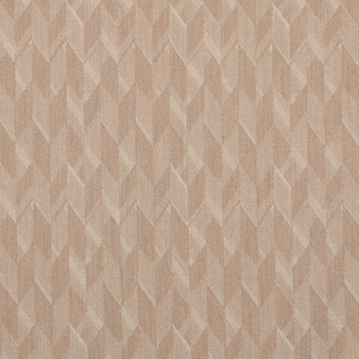 EZRA WOOL | Camel