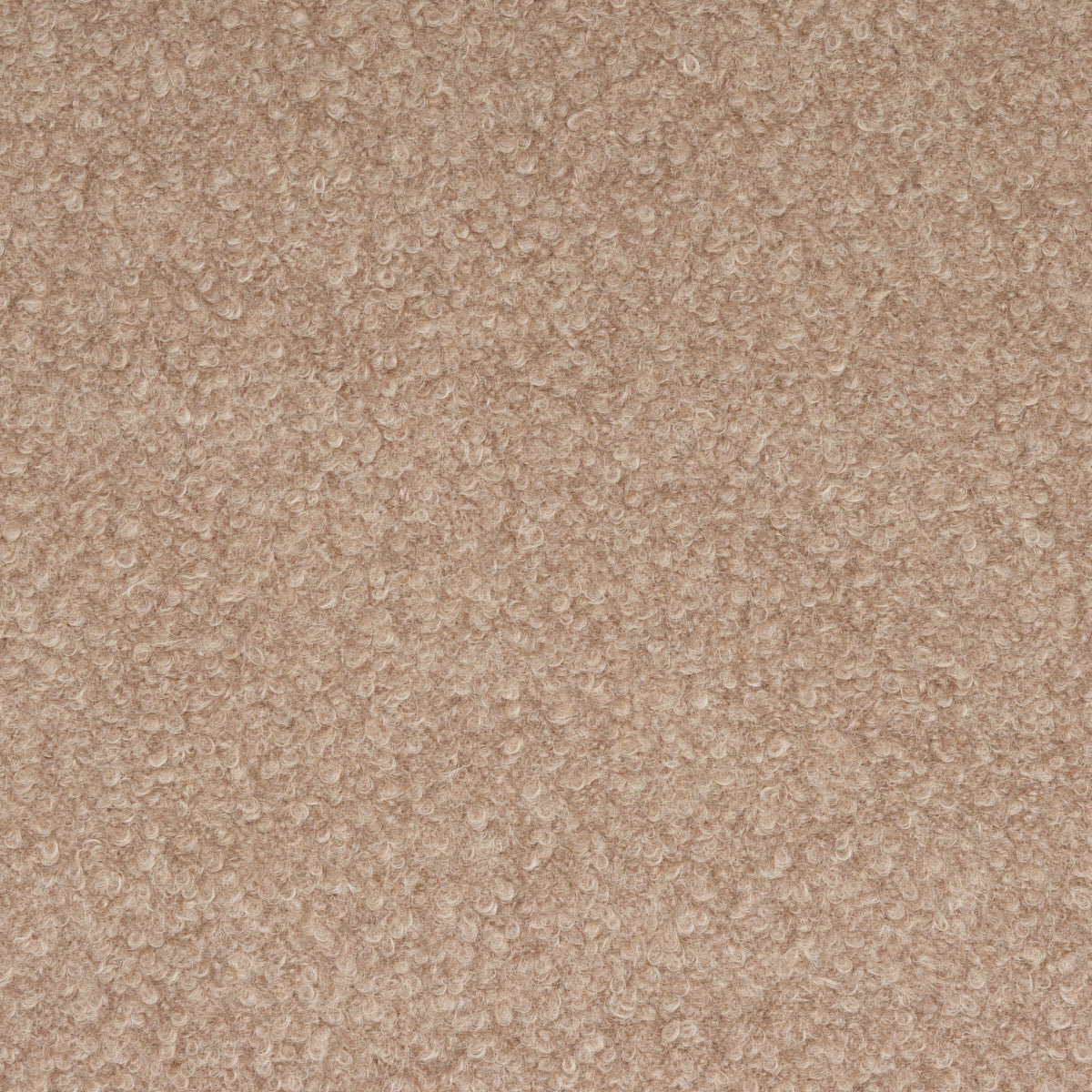 TEDDY WOOL BOUCLÉ | Fawn