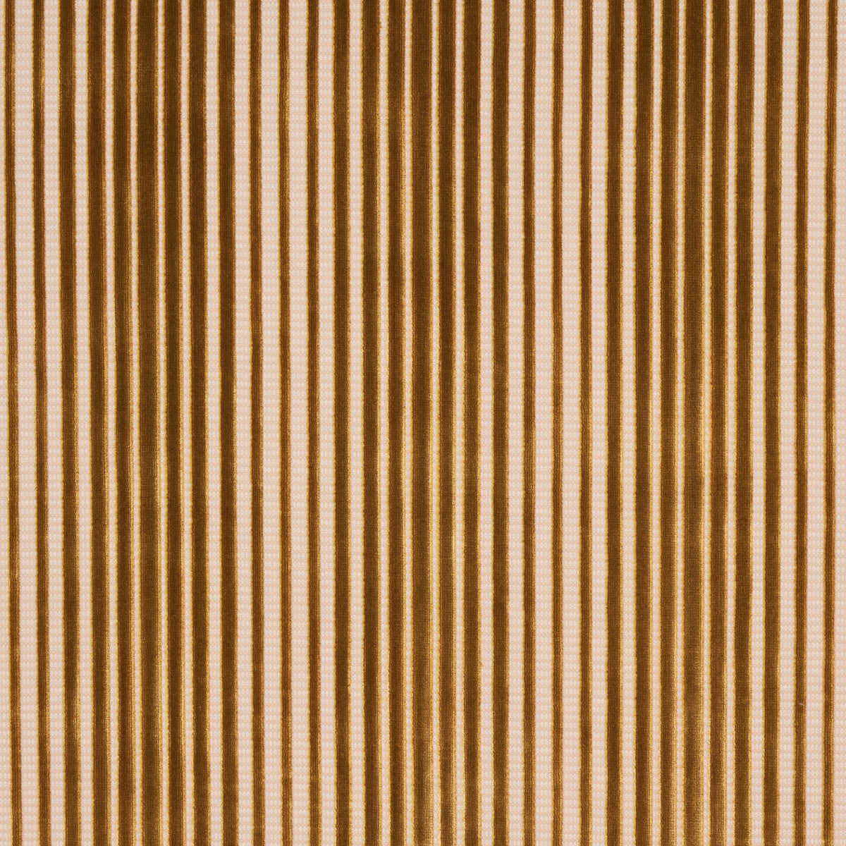 VELLUTO A RIGHE CHIMAY | BRONZO