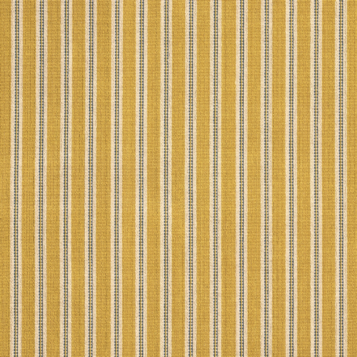 BENSON STRIPE ÉPINGLÉ | Saffron