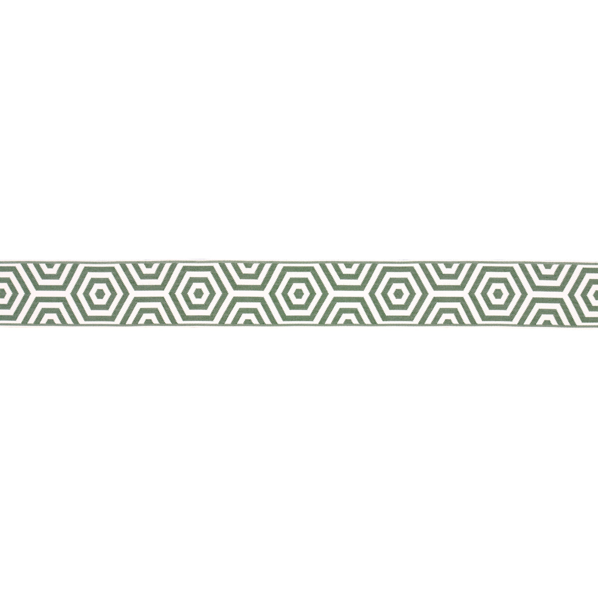 BEES KNEES INDOOR/OUTDOOR TAPE | Green