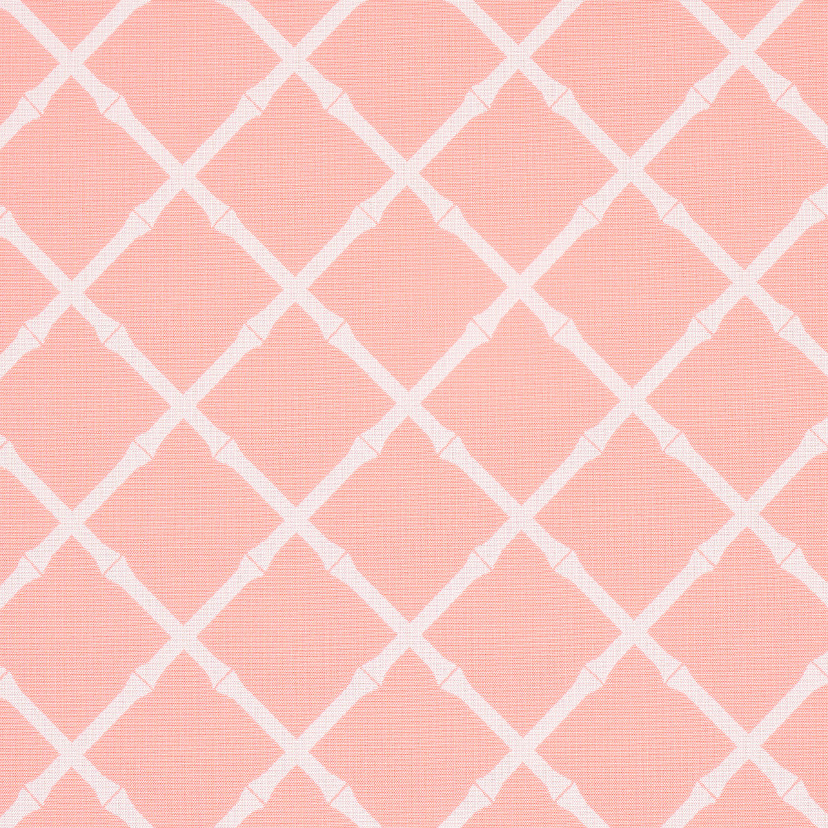 TRALICCIO IN BAMBÙ INTERNO/ESTERNO | ROSA