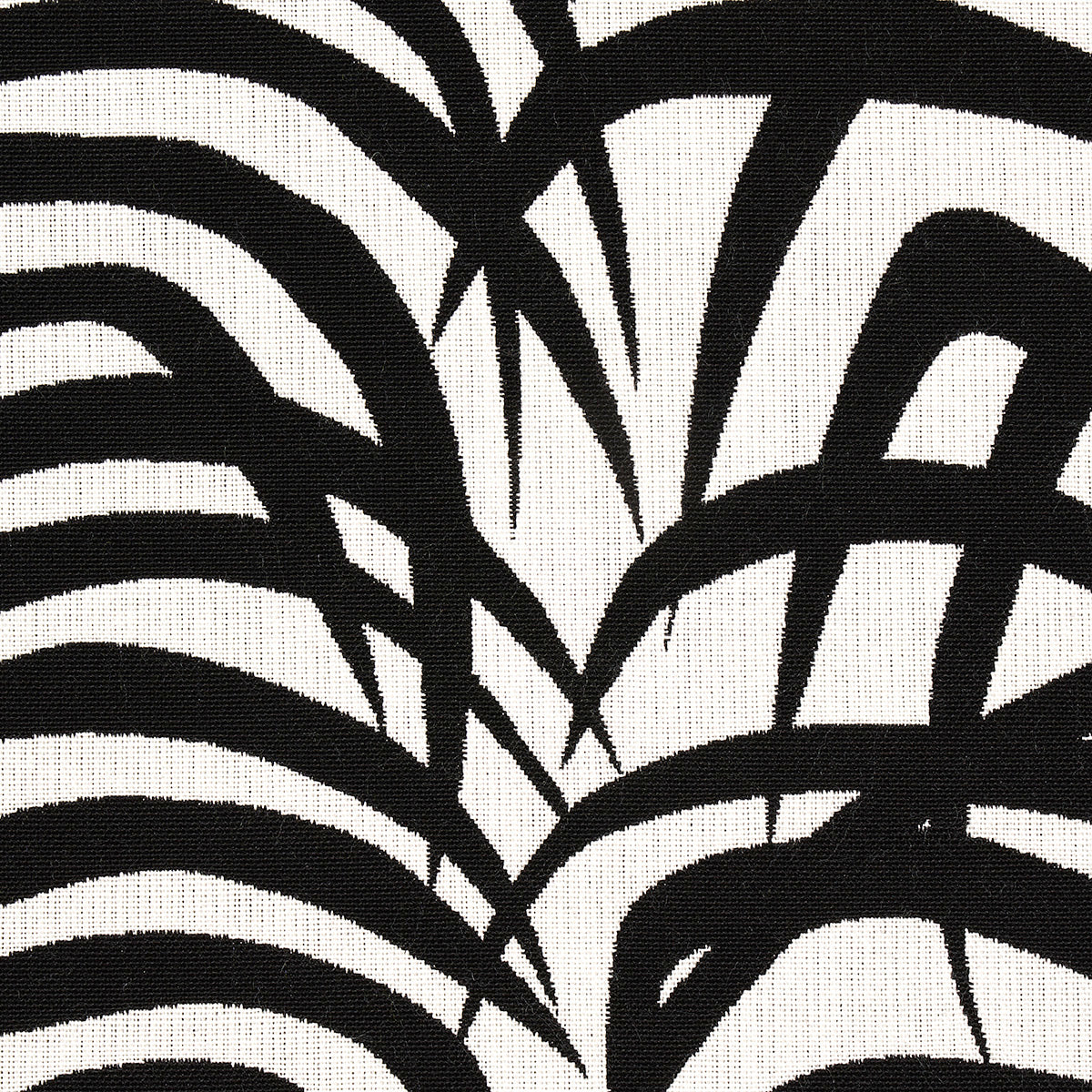 PALMA ZEBRA INTERNO/ESTERNO | NERO