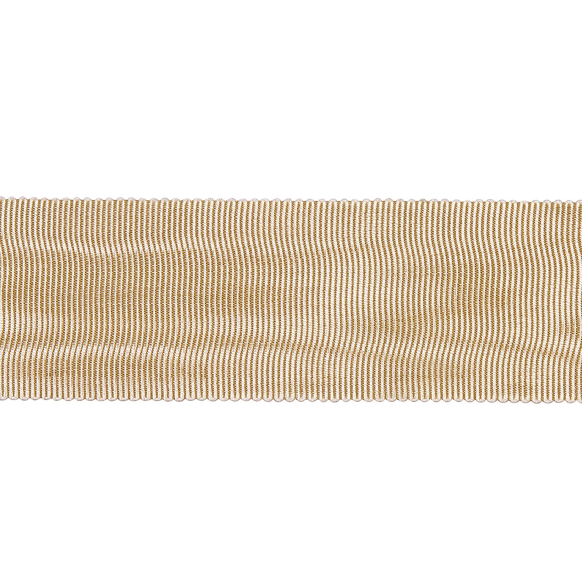 NASTRO OLANDESE | OSTRICA