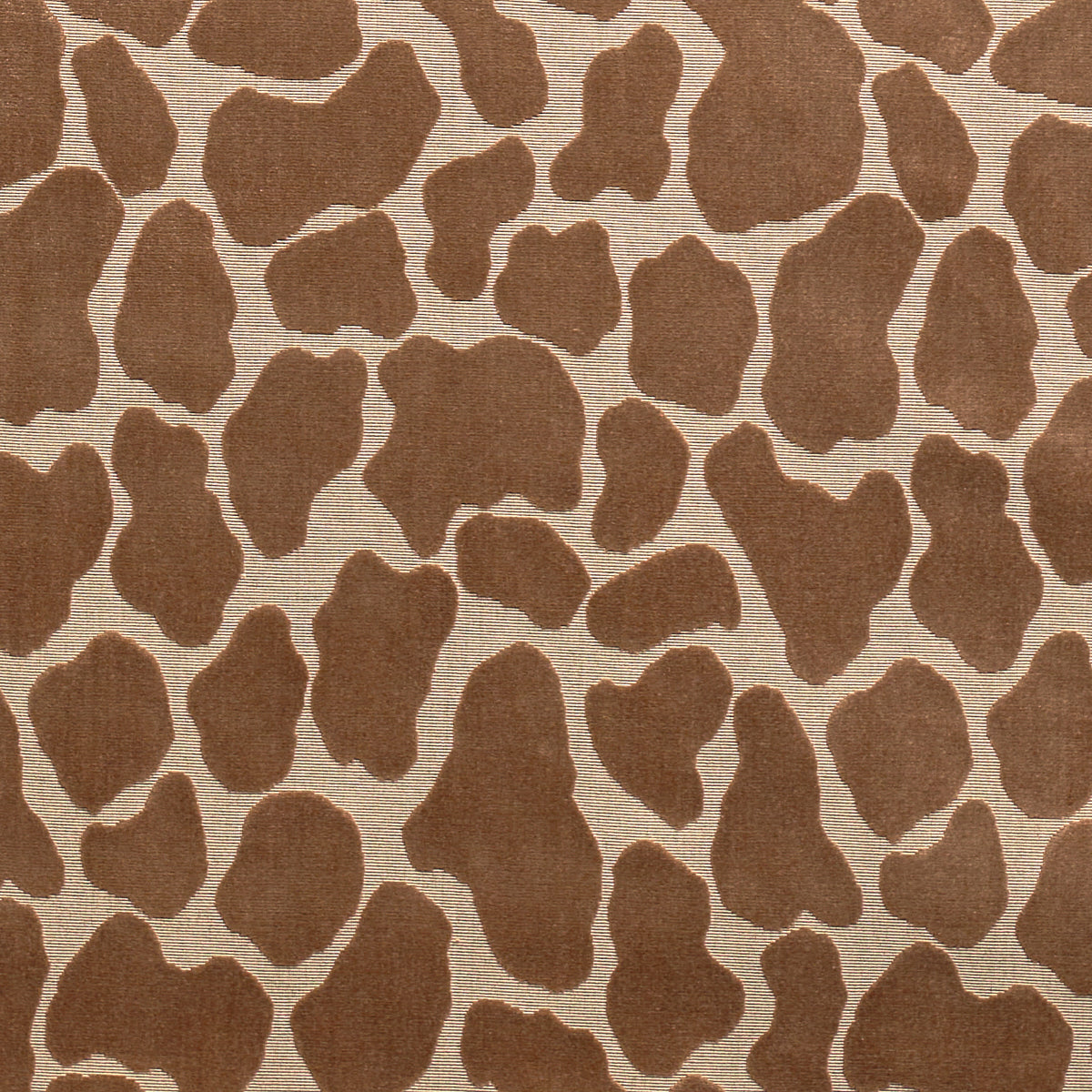 VELLUTO GIRAFFA | SAFARI