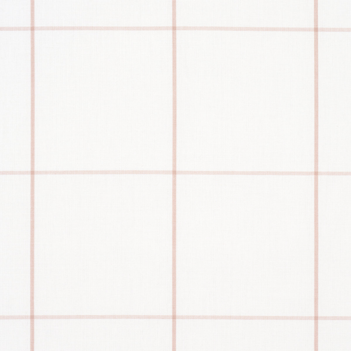 VERIFICA BOSCAIOLO | ROSA TEMPIO
