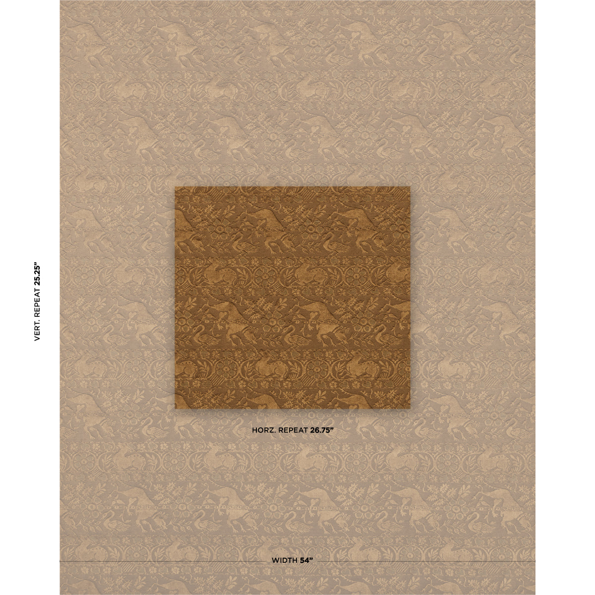 ANIMALI | Bronze