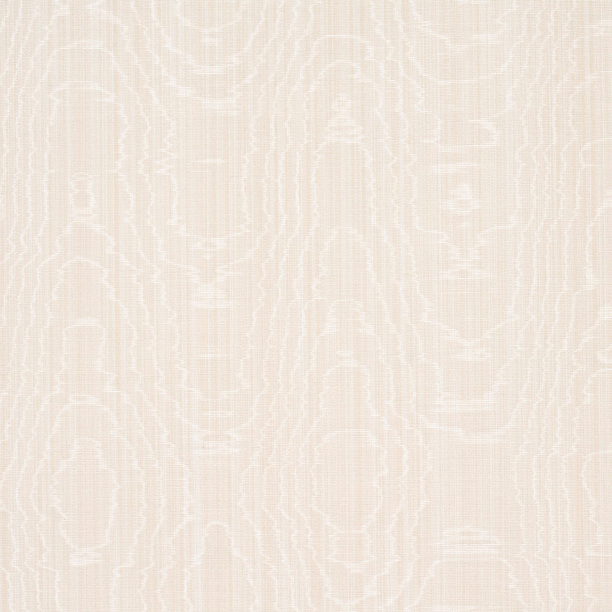 BEAU COTONE LINO MOIRÉ | OSTRICA