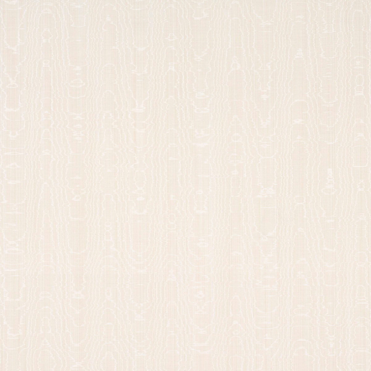 BEAU COTONE LINO MOIRÉ | OSTRICA