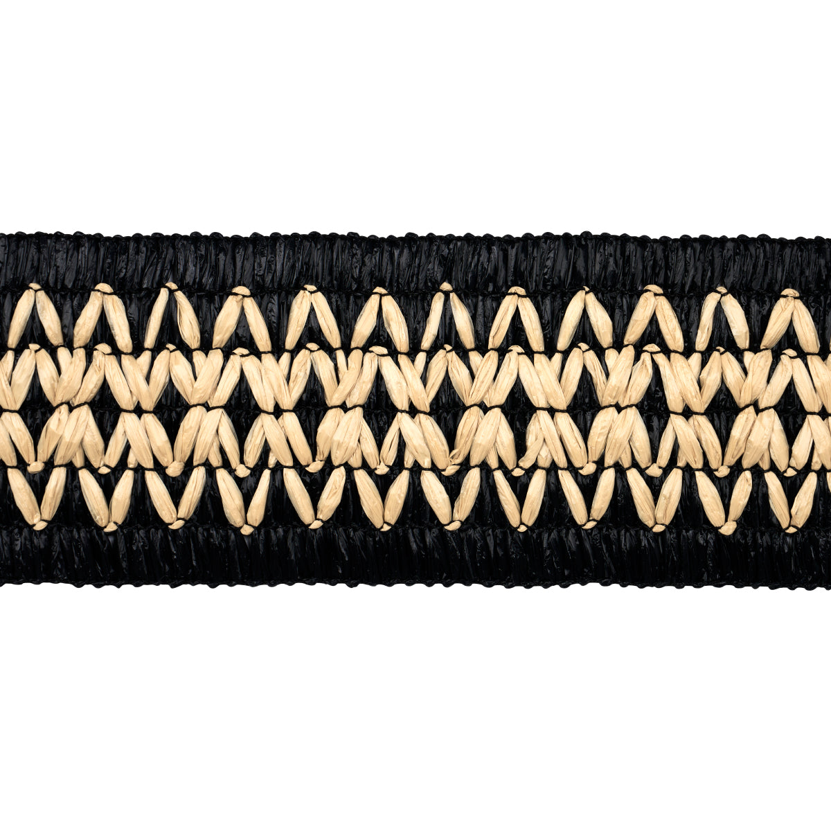 RAPHIINAE TAPE | Black