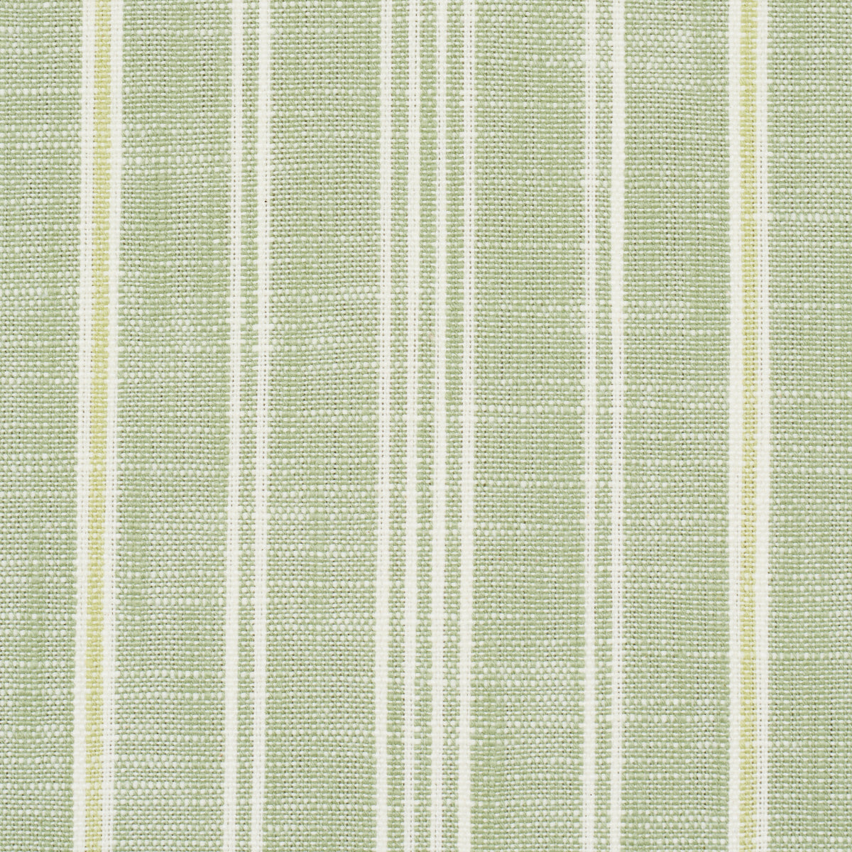 LUCIA STRISCIA | VERDE FOGLIA