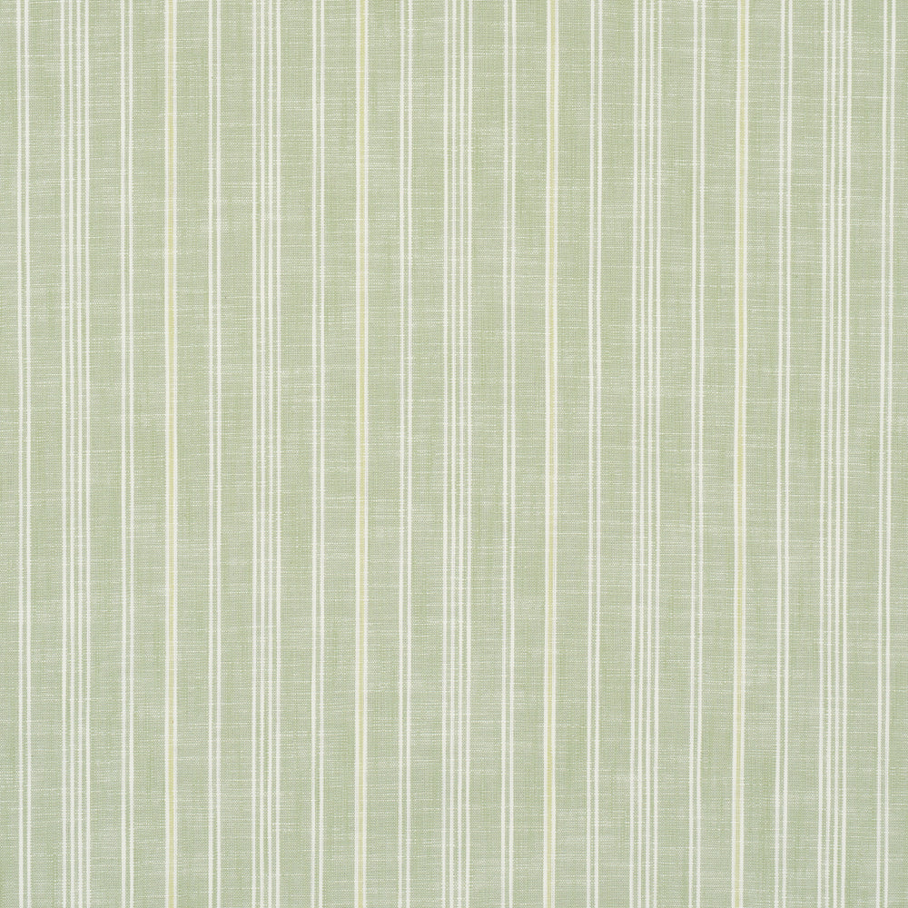 LUCIA STRISCIA | VERDE FOGLIA