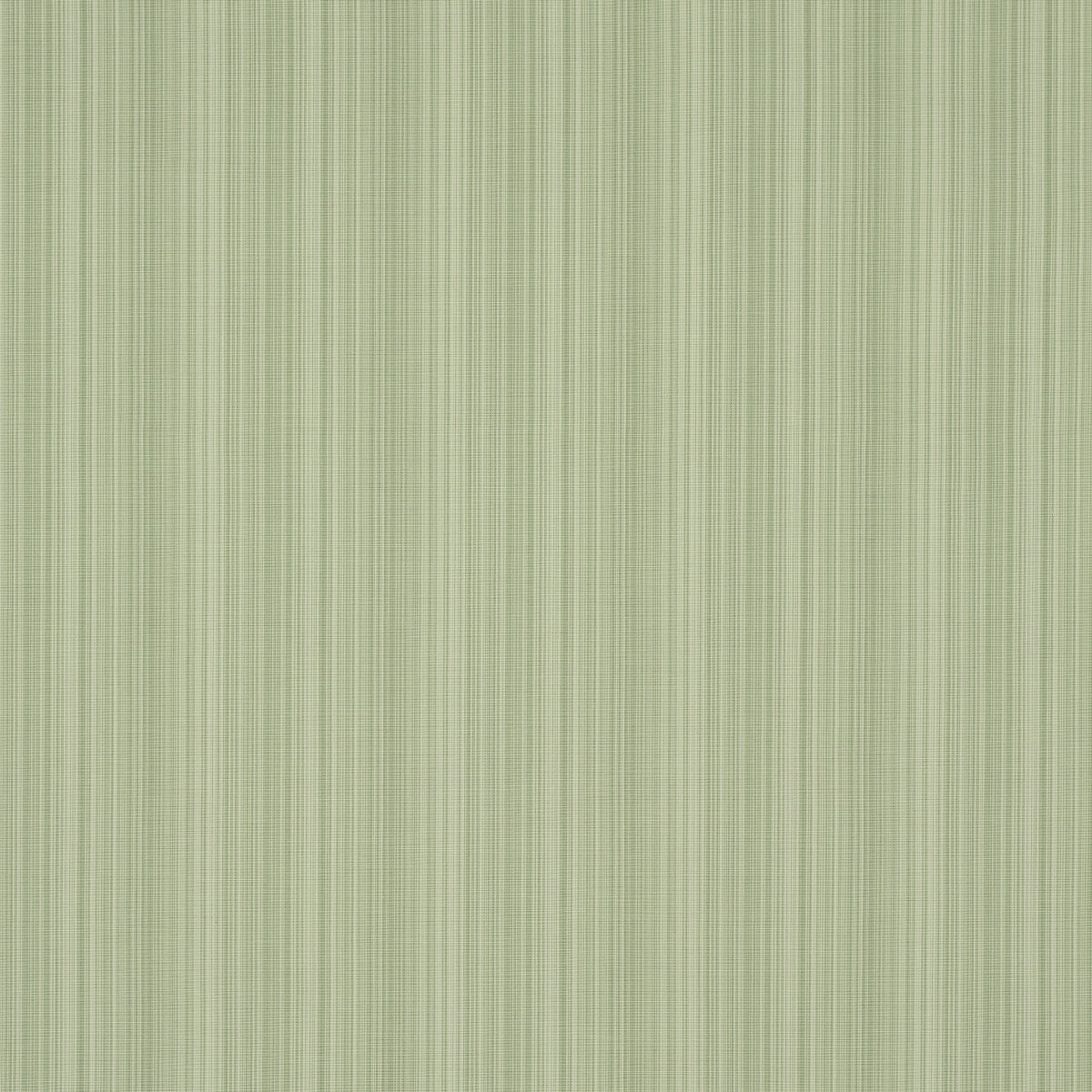 GRACIE SOLID STRIÉ | Leaf Green