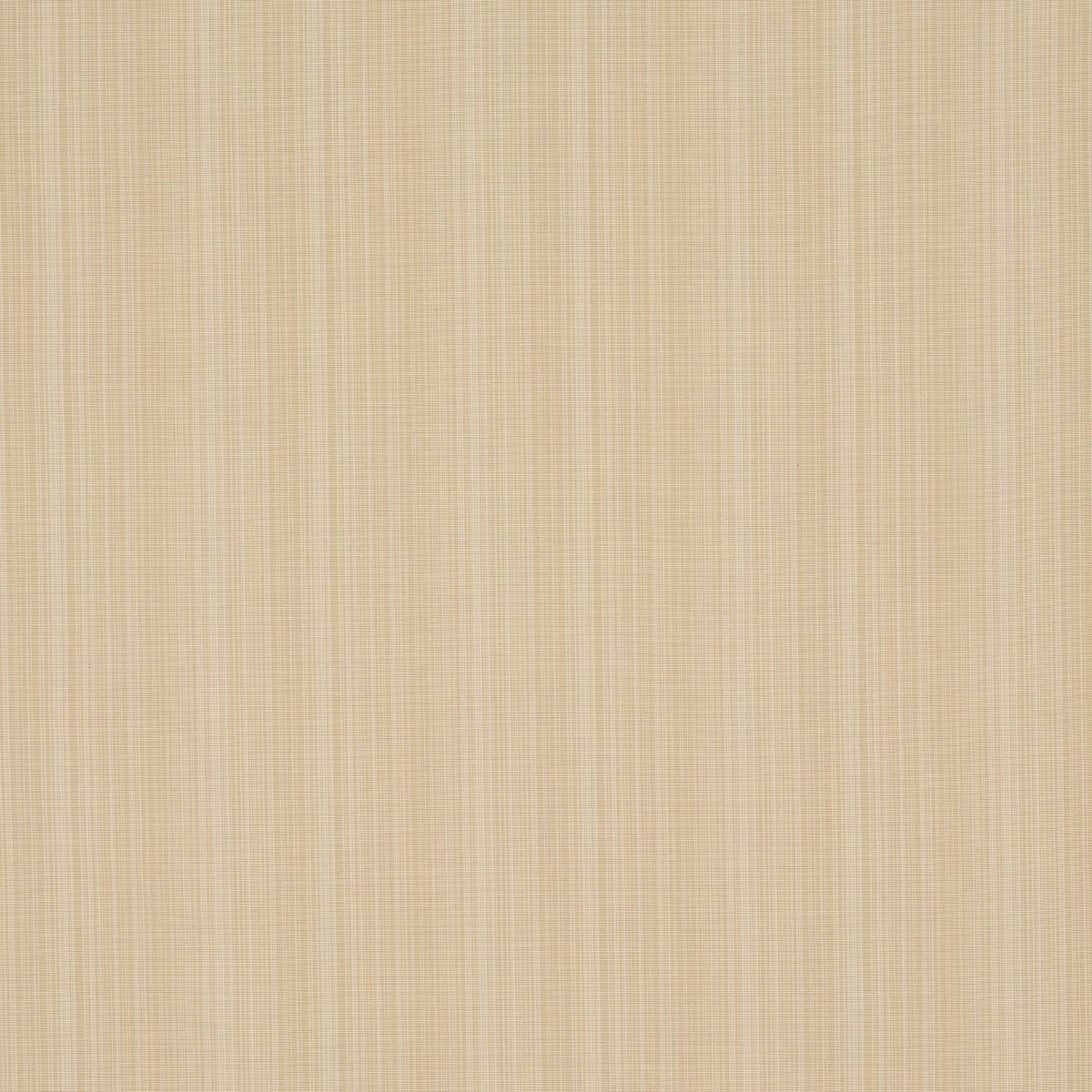 GRACIE SOLID STRIÉ | Neutral