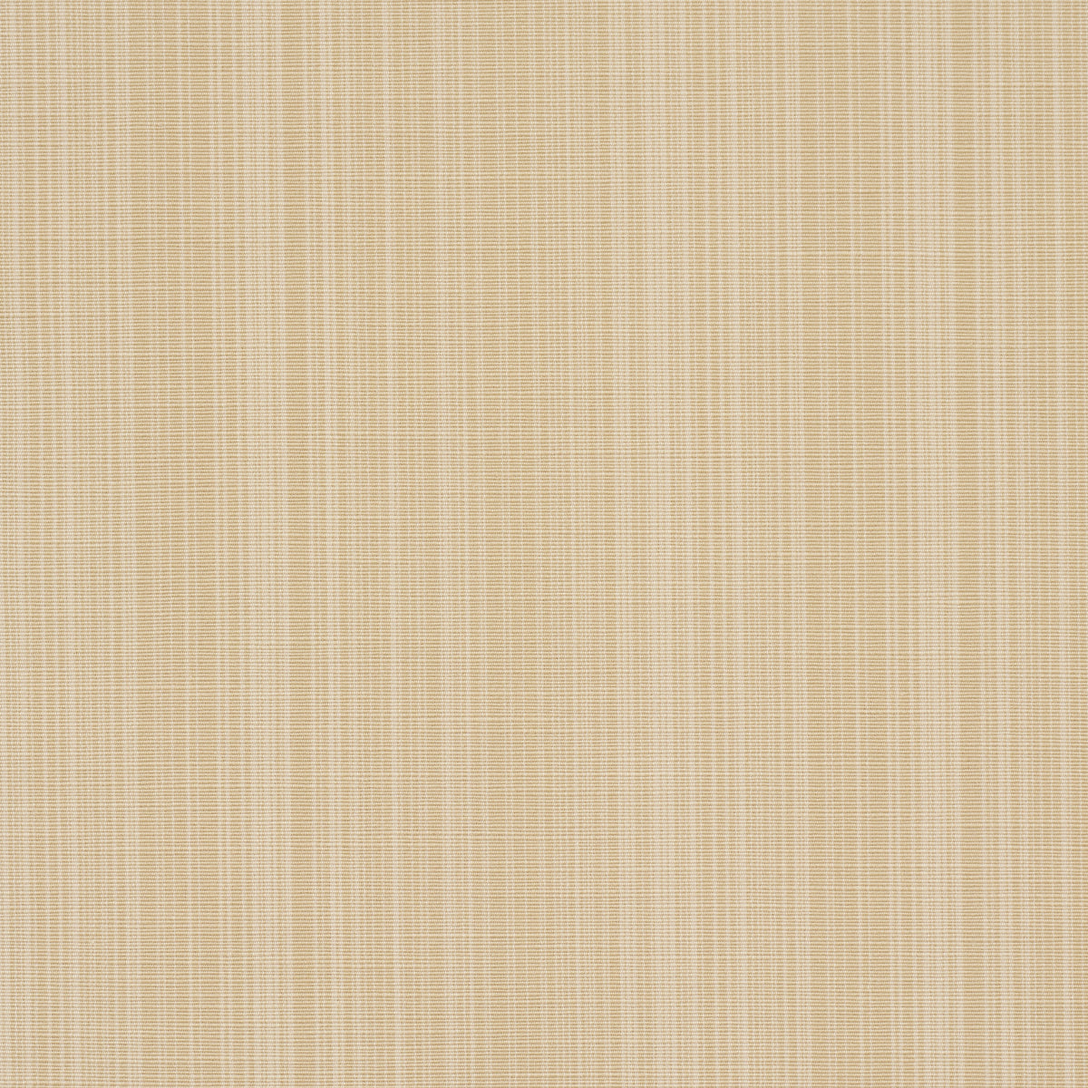 GRACIE SOLID STRIÉ | Neutral