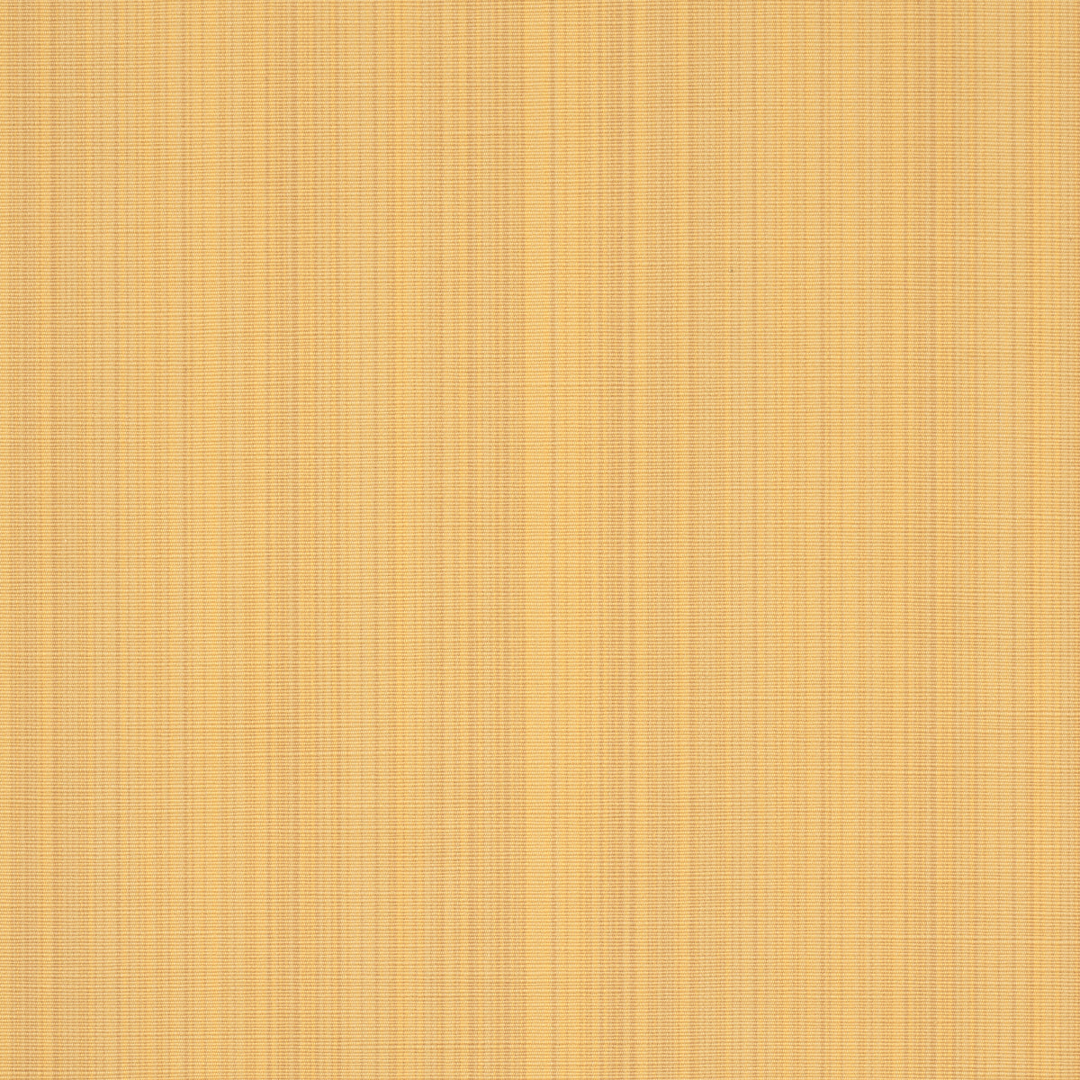 GRACIE SOLID STRIÉ | GIALLO