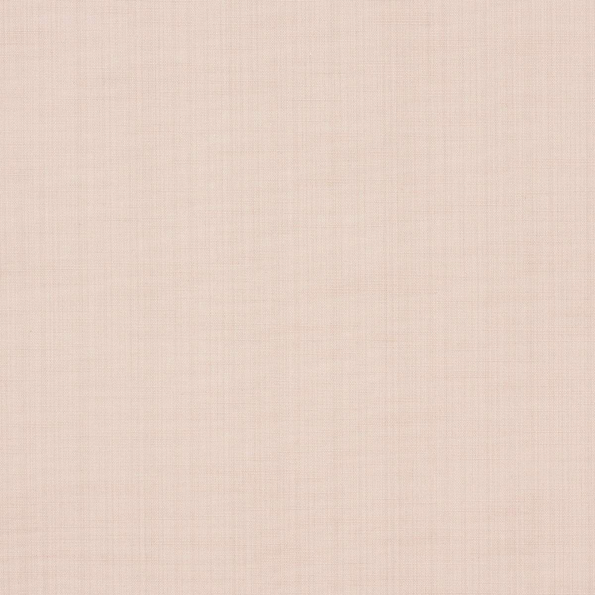 GRACIE SOLID STRIÉ | ARROSSIRE