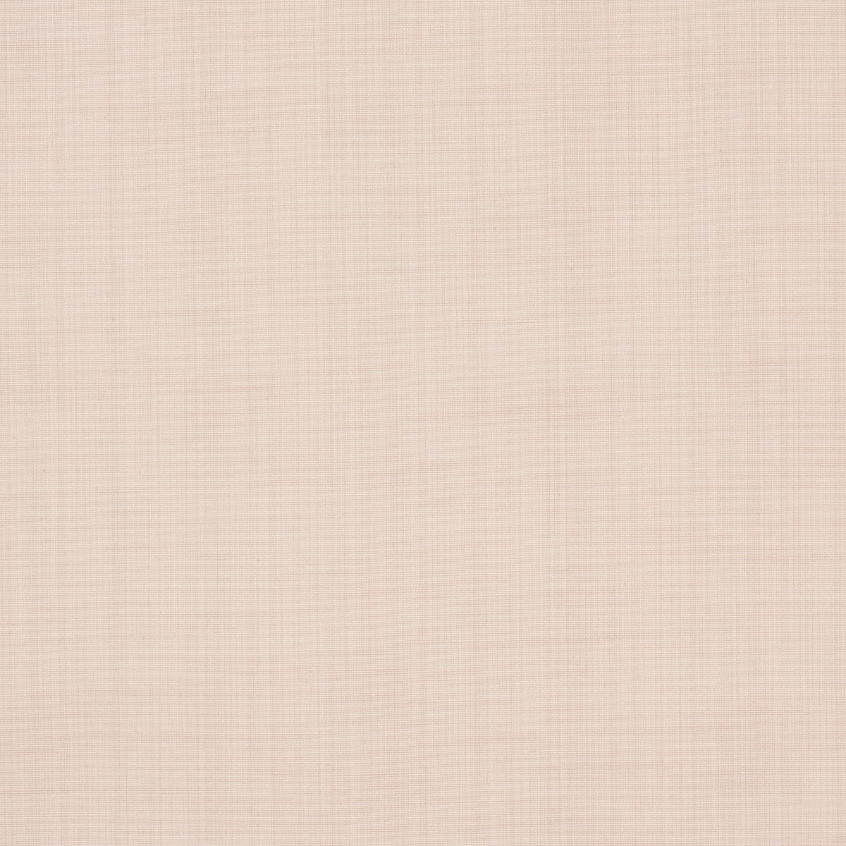 GRACIE SOLID STRIÉ | ARROSSIRE