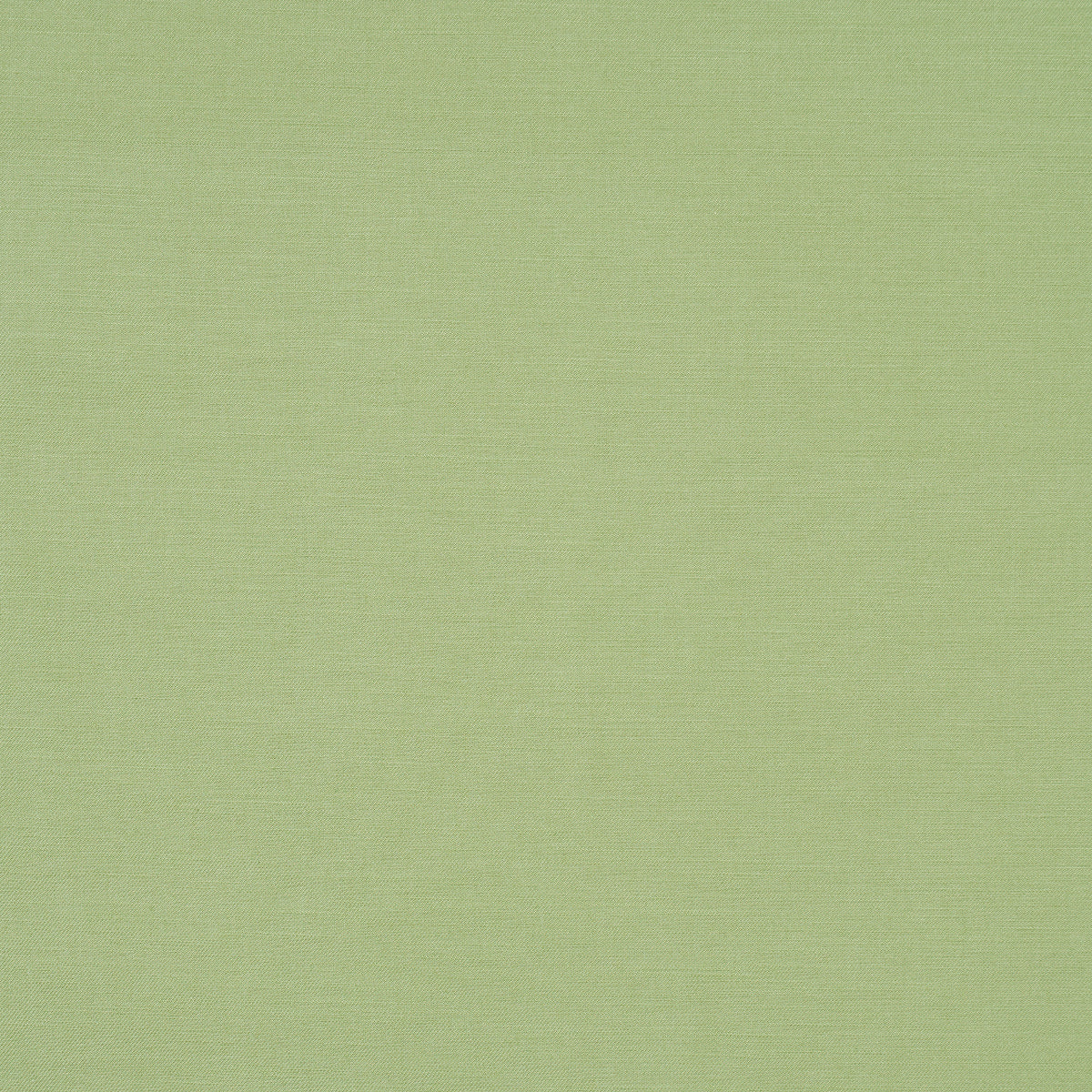 JUDY TEXTURE | Celadon