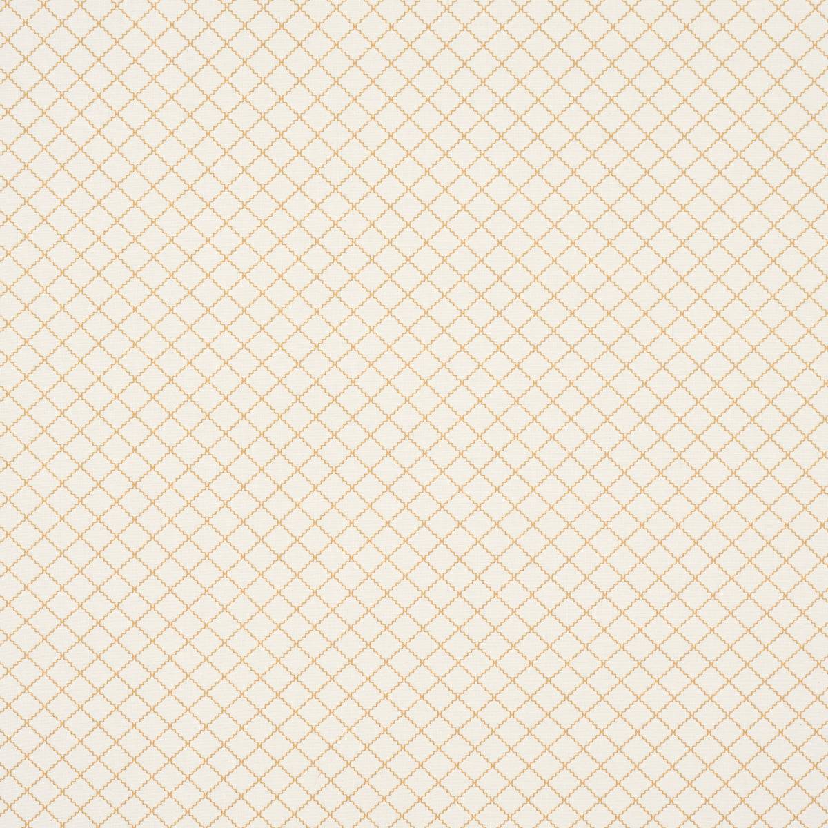 MAGGIE LATTICE | NEUTRO