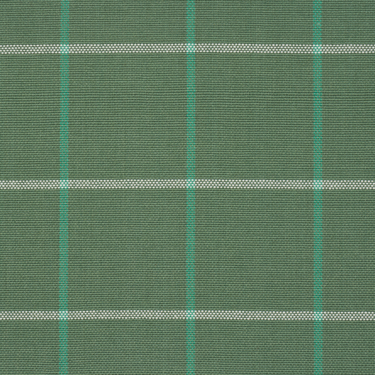 VETRO FRANNIE | VERDE