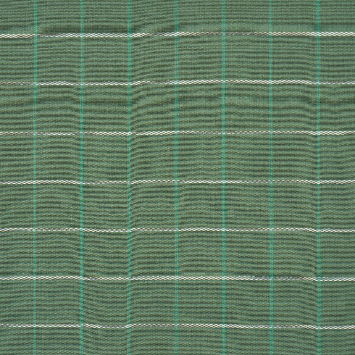 VETRO FRANNIE | VERDE
