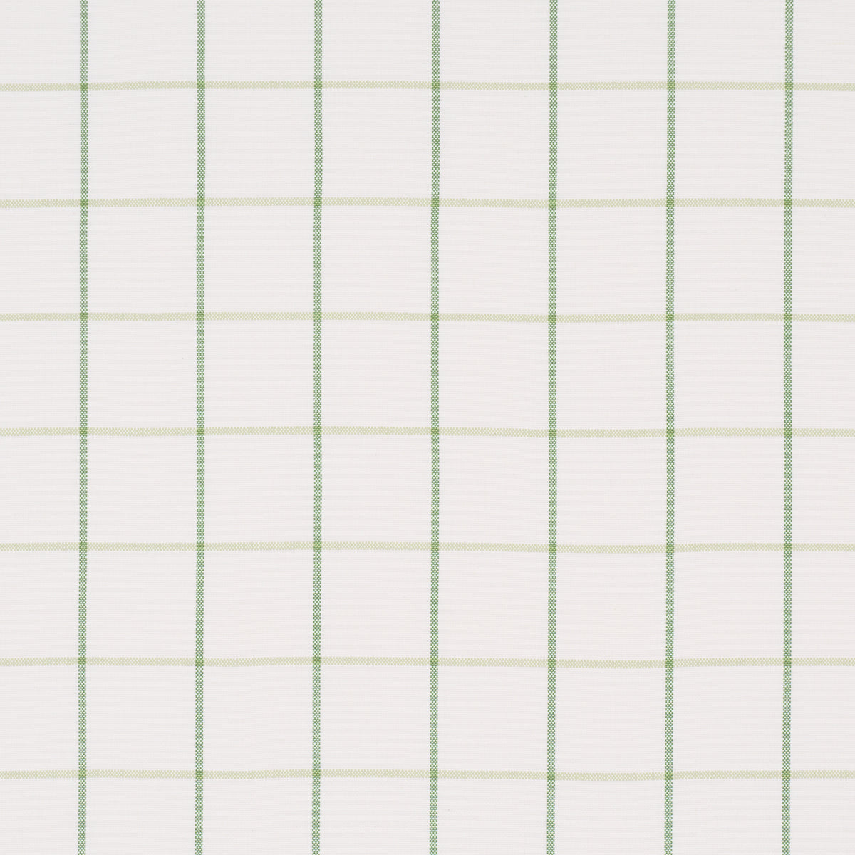 FRANNIE WINDOWPANE | Leaf Green