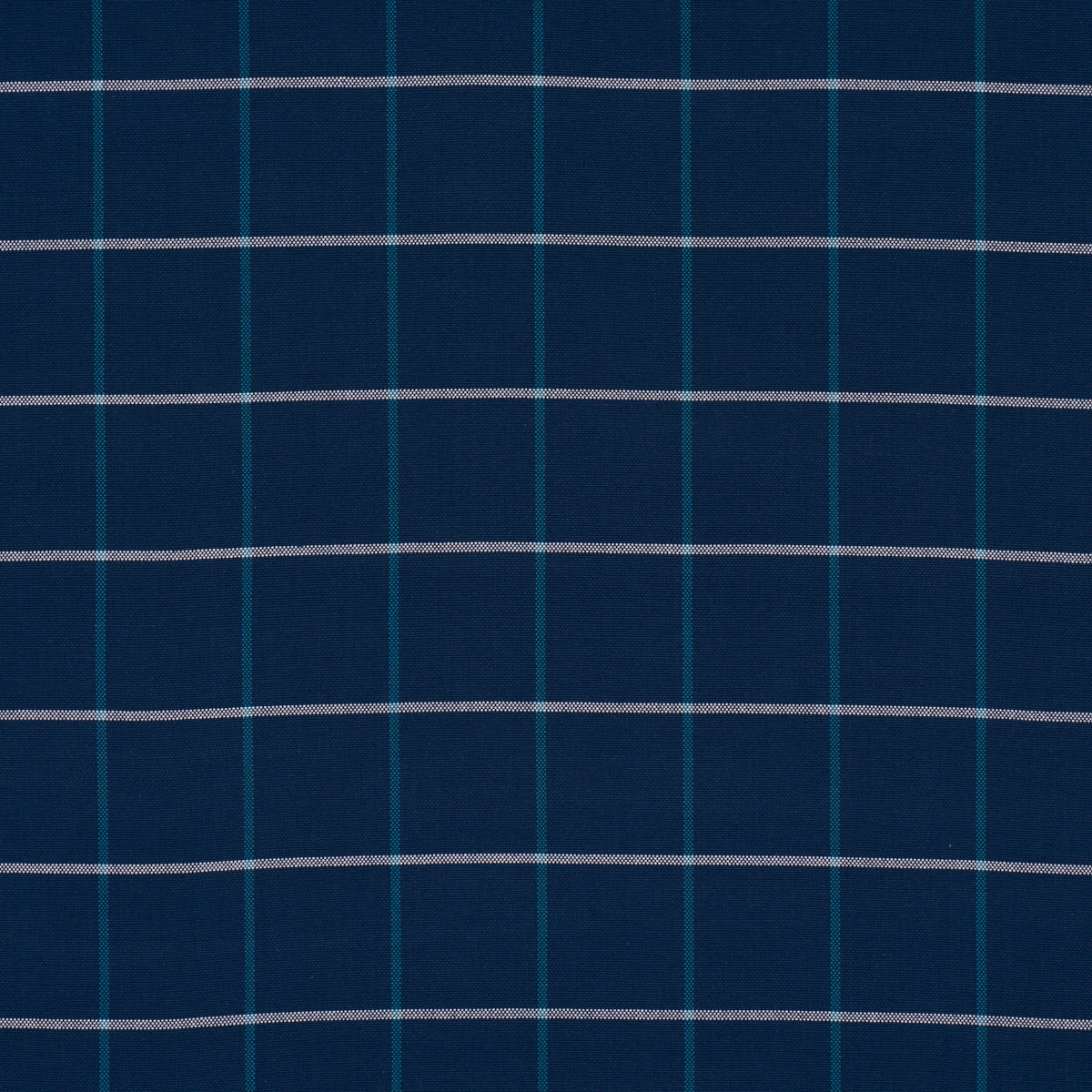 FRANNIE WINDOWPANE | Navy