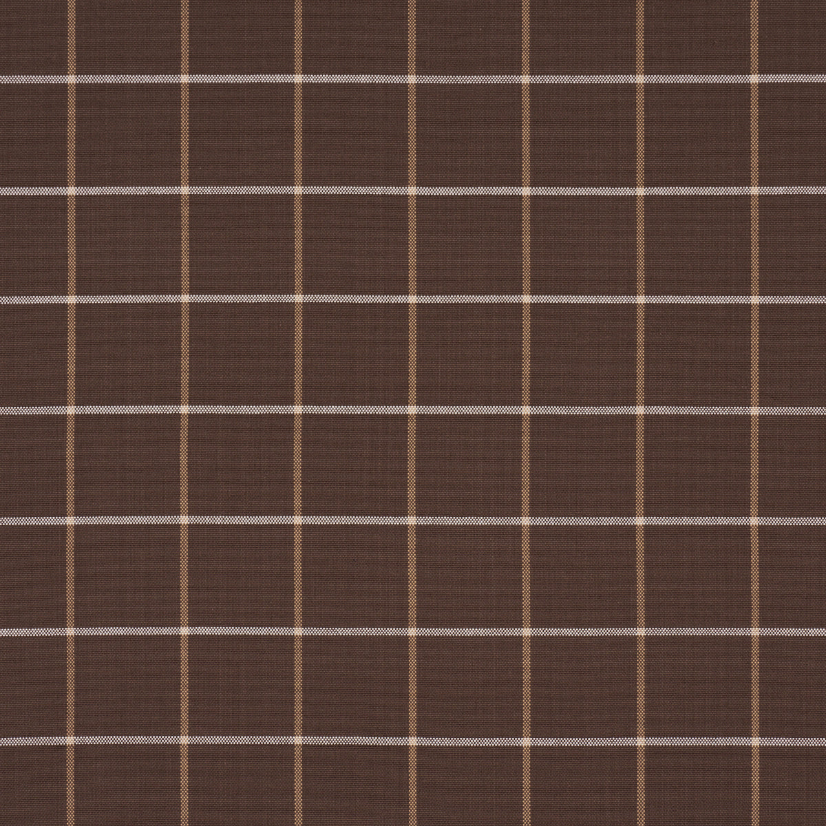 FRANNIE WINDOWPANE | Chocolate
