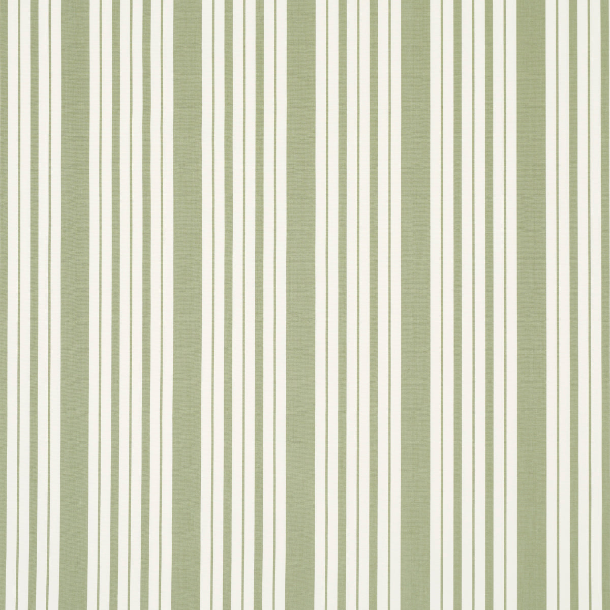 BANDA MARKIE | VERDE FOGLIA