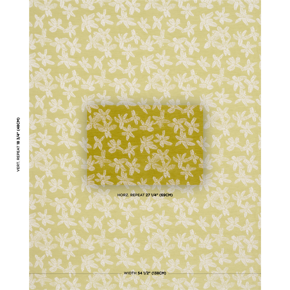 HIBISCUS | Citron Vert