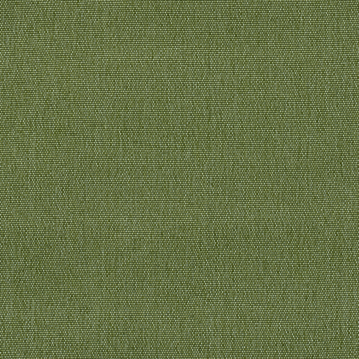 Cooper Indoor/outdoor | Green