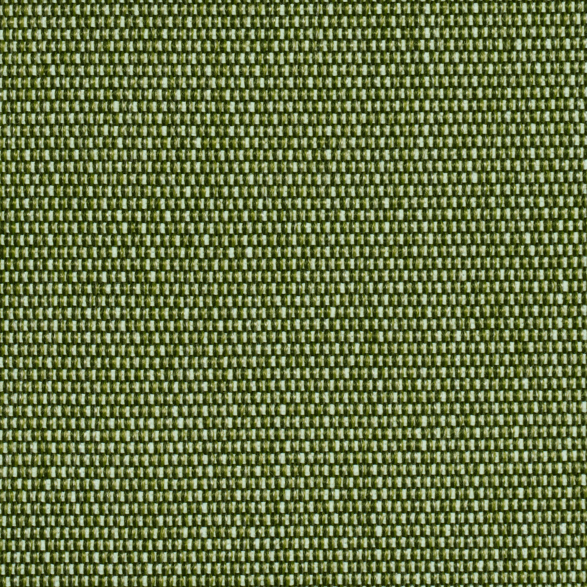 Cooper Indoor/outdoor | Green