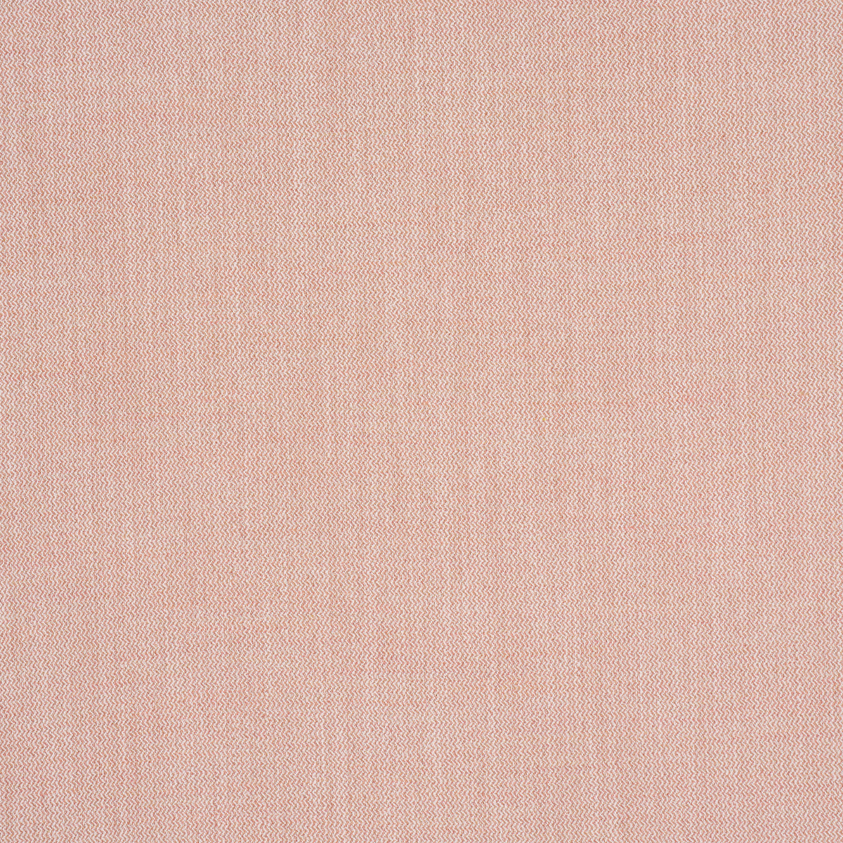 SIMON INDOOR/OUTDOOR | Blush