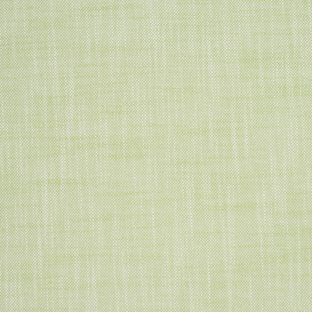 SASHA INDOOR/OUTDOOR | Green