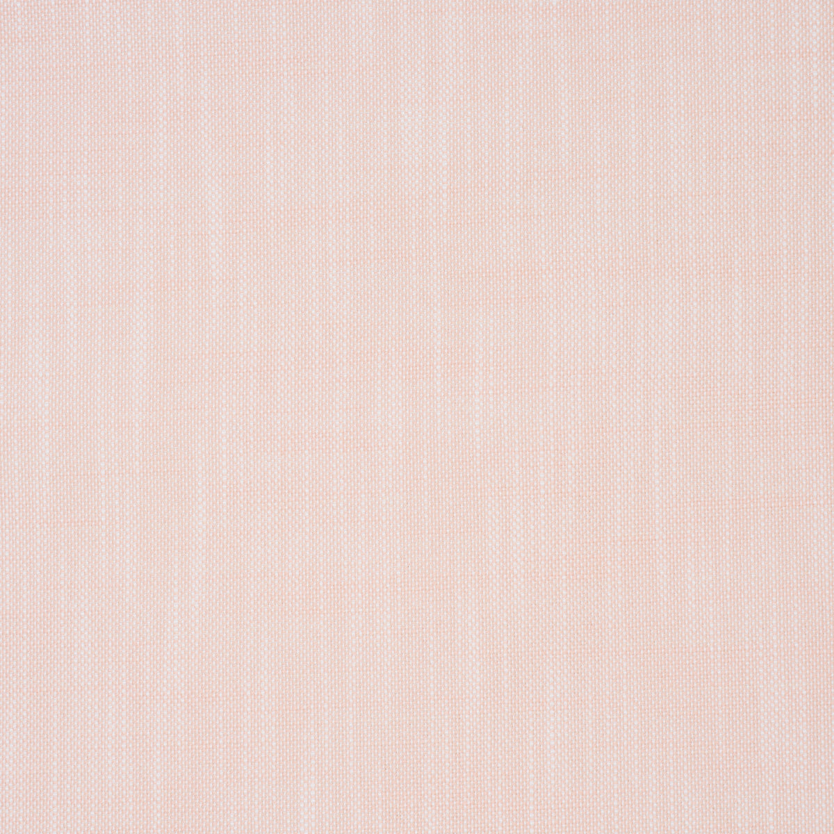 SASHA INDOOR/OUTDOOR | Blush