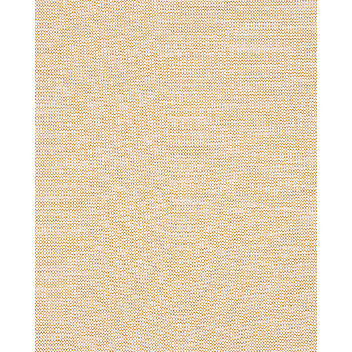 PACIFICA INTERNO/ESTERNO | GRANOTURCO