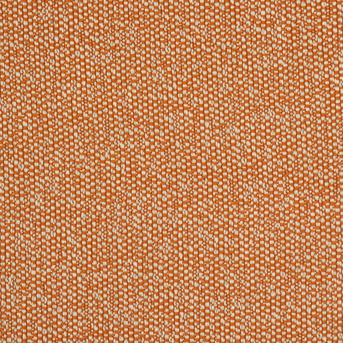 GUS INDOOR/OUTDOOR | Orange