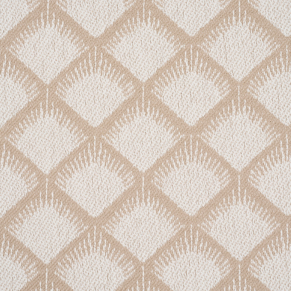 MAIZE | Ivory