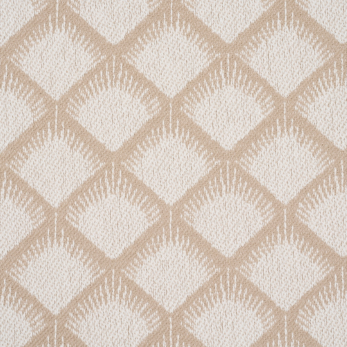 MAIZE | Ivory