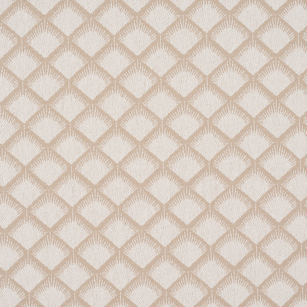 MAIZE | Ivory